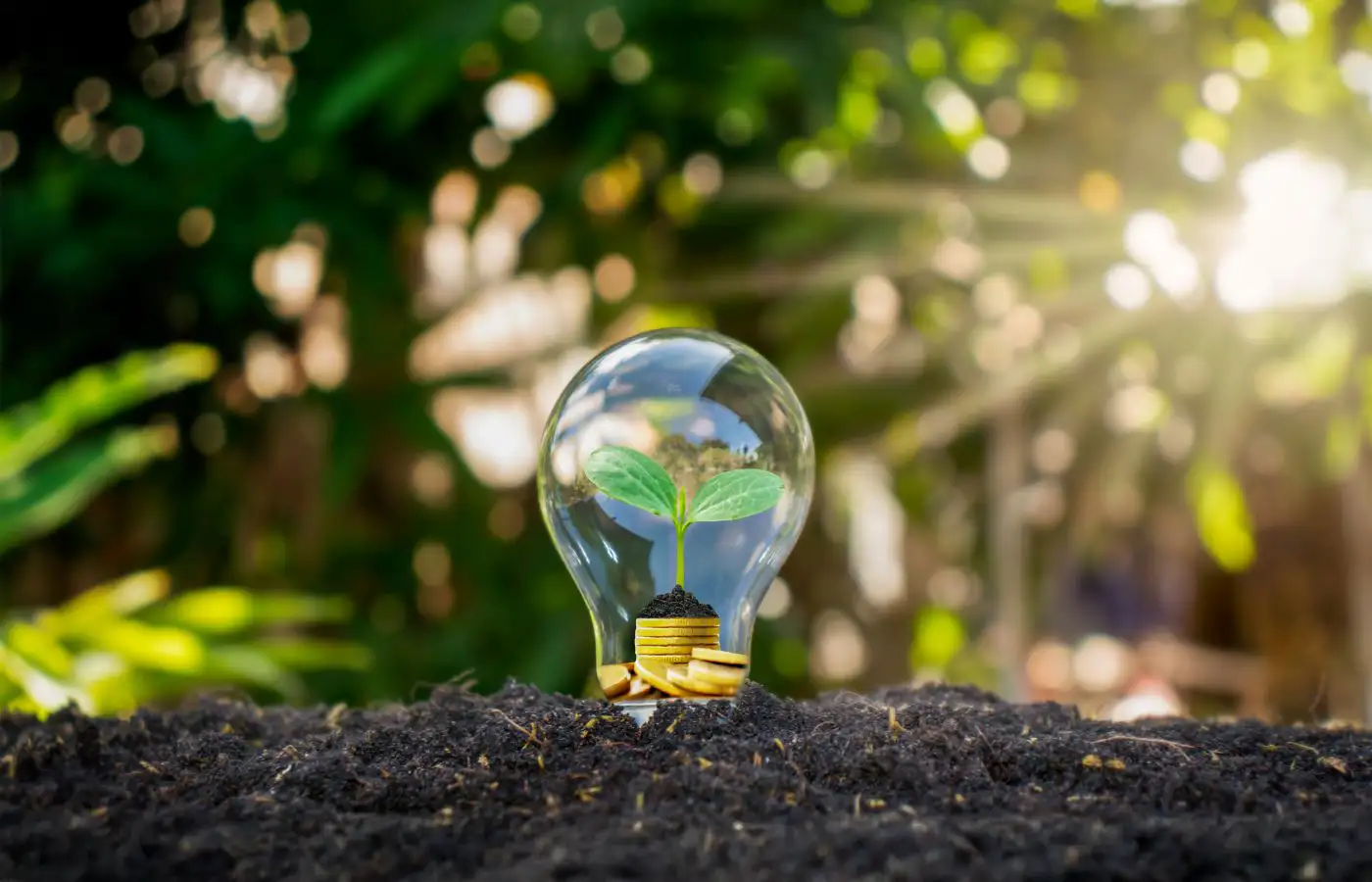 Une ampoule contenant une jeune pousse verte posée sur des pièces d'or et du sol fertile, symbolisant les avantages du partage d'énergie : transition énergétique, réduction des coûts et impact environnemental positif.